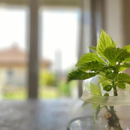 Apartmenthaus Luett Meer Ludorf Ngoại thất bức ảnh